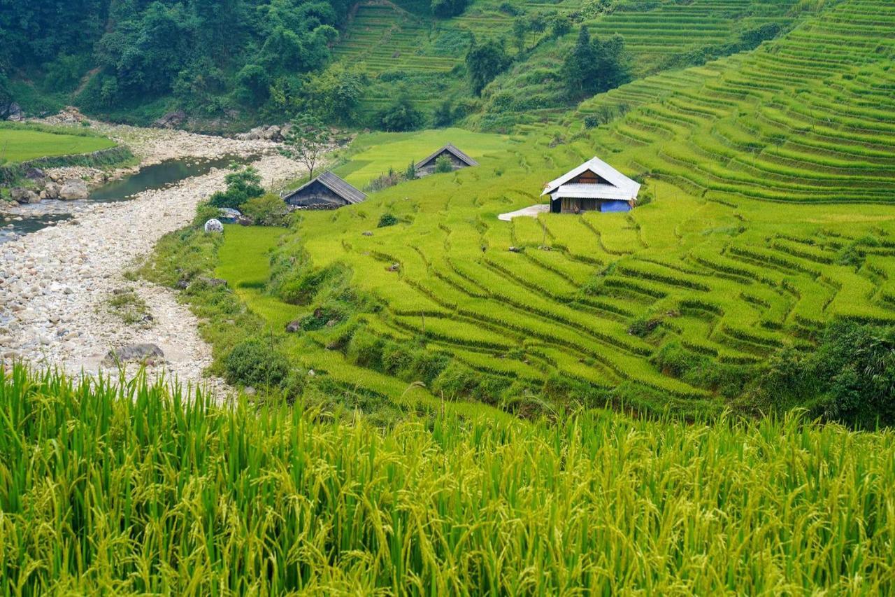 Sapa Fantasea Homestay Exterior photo